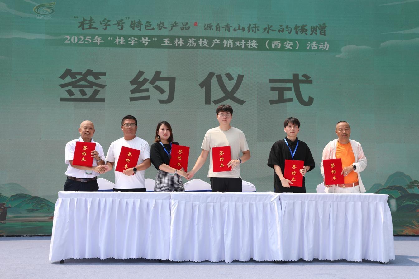 “桂字號”玉林荔枝產銷對接活動舉辦，助力鄉村振興與產業升級