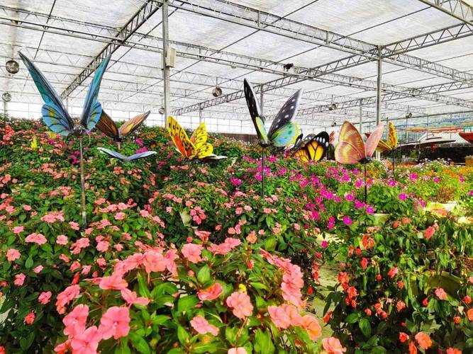 玉林景區豐富的"新春套餐"陪你過大年!